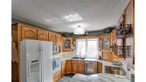 5317 50 Street, House detached with 4 bedrooms, 3 bathrooms and 3 parking in Red Deer County AB | Image 8