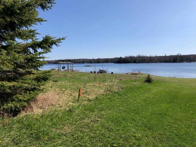0 Highway 35 N, Home with 0 bedrooms, 0 bathrooms and 12 parking in Kawartha Lakes ON | Image 5