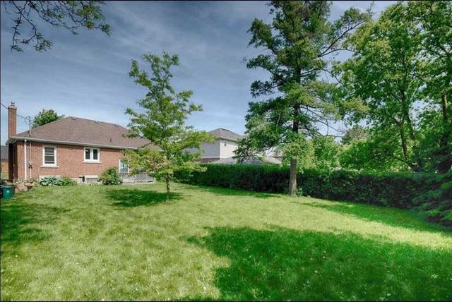 bsmt - 49 Arlington Blvd, House detached with 2 bedrooms, 1 bathrooms and 2 parking in Kitchener ON | Image 6