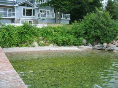 1013 Lakeshore Rd E, House detached with 4 bedrooms, 6 bathrooms and 5 parking in Oro Medonte ON | Image 3