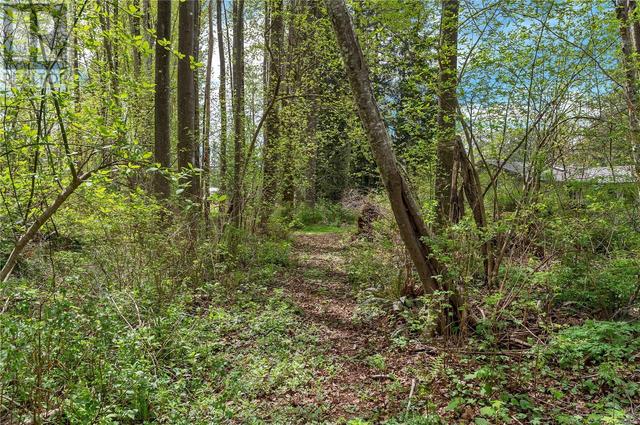 oProperty features two seasonal creeks and lots of trails to walk/ride thru the forested areas. | Image 73