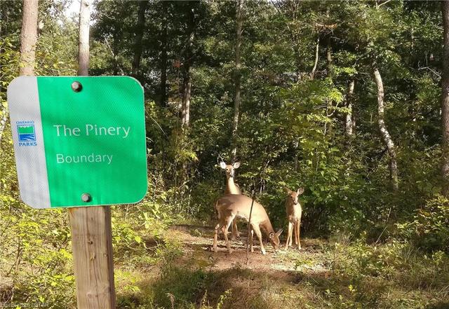 Your Pinery Park trail head isn't even 300 meters from your driveway... | Image 45