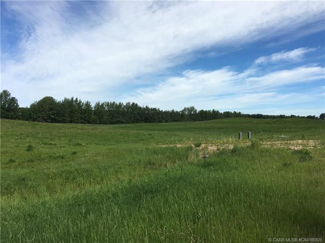 lot 9 - 13033 Township Road 424, Home with 0 bedrooms, 0 bathrooms and null parking in Wetaskiwin County No. 10 AB | Image 7