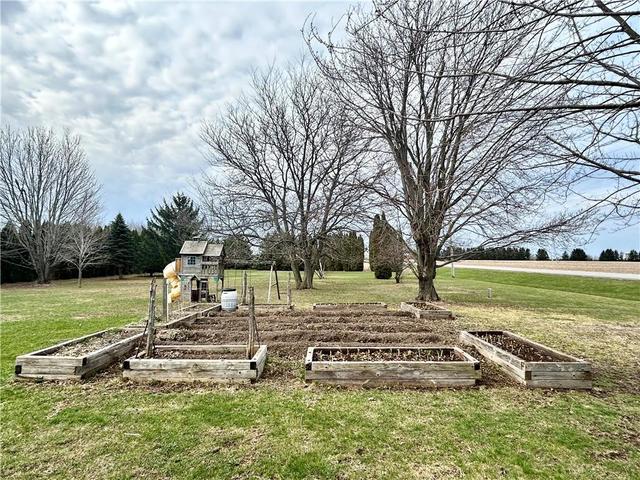 Raised Gardens - A Gardeners Dream! | Image 15