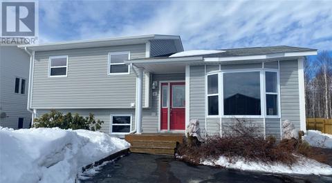 49 Corrigan Street, House detached with 4 bedrooms, 2 bathrooms and null parking in Gander NL | Card Image
