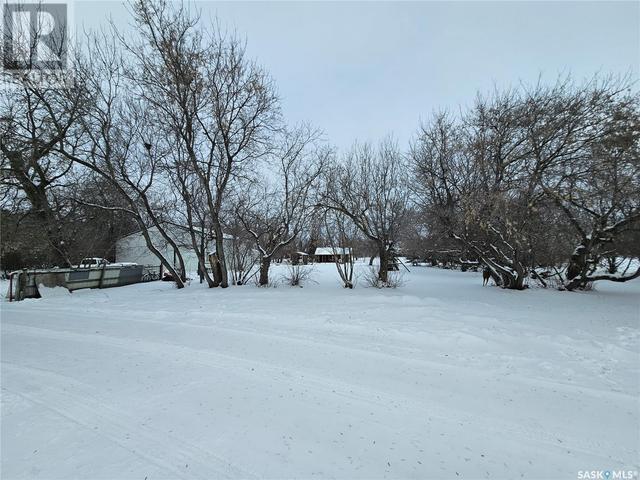 205 Balmoral Avenue, House detached with 3 bedrooms, 2 bathrooms and null parking in Arcola SK | Image 49