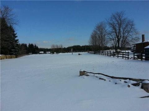 531 Highway 35 Pt, Home with 2 bedrooms, 2 bathrooms and 10 parking in Kawartha Lakes ON | Image 18