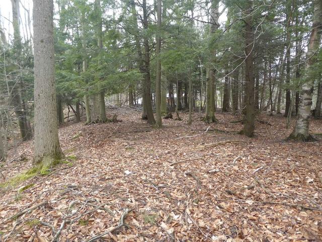 lot 21 Bayshore Rd, Home with 0 bedrooms, 0 bathrooms and null parking in Meaford ON | Image 28
