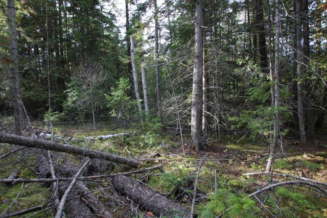 lot 9 Clark Road, Home with 0 bedrooms, 0 bathrooms and null parking in Central Kootenay K BC | Image 22