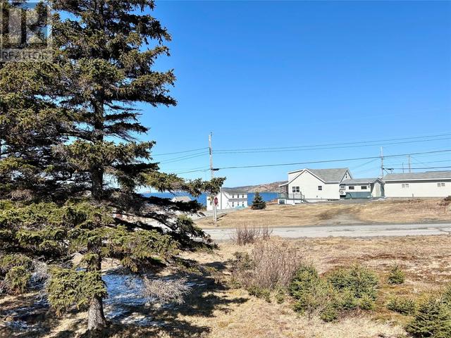 117 Hugh Lane, House detached with 3 bedrooms, 1 bathrooms and null parking in Twillingate NL | Image 22