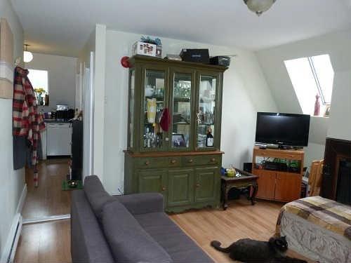 03 - 263 Gerrard St, Home with 1 bedrooms, 1 bathrooms and null parking in Toronto ON | Image 5