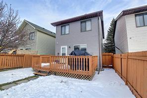 39 Castlegreen Close Ne, House detached with 3 bedrooms, 1 bathrooms and 2 parking in Calgary AB | Image 31