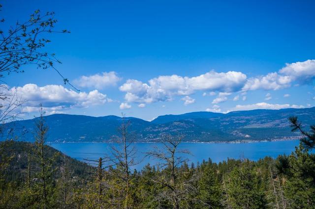 0000 Eastside Road, Home with 0 bedrooms, 0 bathrooms and null parking in Vernon BC | Image 3