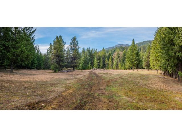 2621 Highway 3a, House detached with 2 bedrooms, 1 bathrooms and null parking in Central Kootenay I BC | Image 6