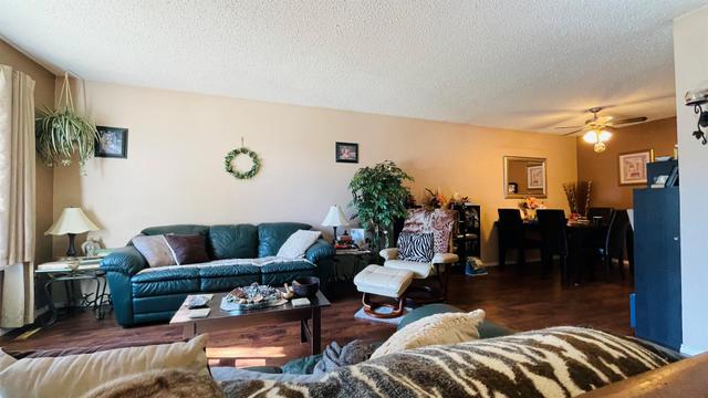 1640 5a Avenue, Home with 3 bedrooms, 1 bathrooms and 1 parking in Wainwright AB | Image 3