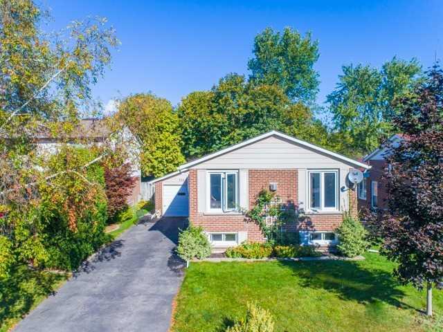 358 Handley Cres, House detached with 3 bedrooms, 1 bathrooms and 5 parking in Newmarket ON | Image 1
