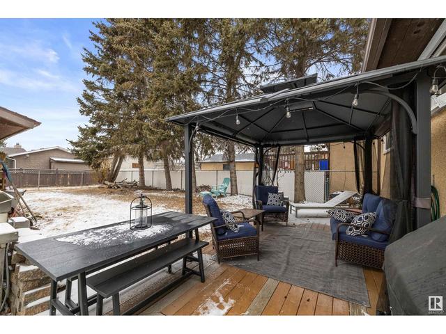 16512 104 St Nw, House detached with 4 bedrooms, 1 bathrooms and 4 parking in Edmonton AB | Image 26