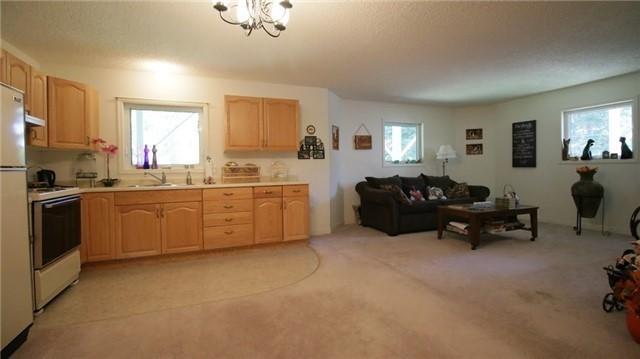 1033 Colony Tr, House detached with 3 bedrooms, 2 bathrooms and 10 parking in Bracebridge ON | Image 12