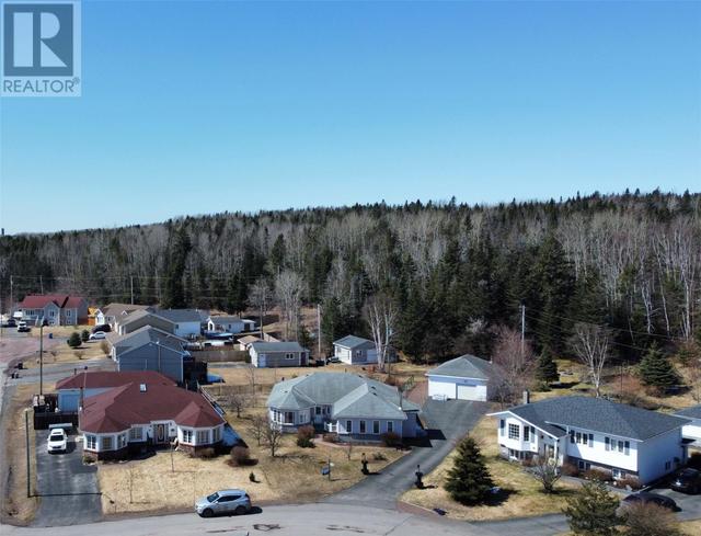 12 Mcdonald Crescent, House detached with 3 bedrooms, 2 bathrooms and null parking in Bishop's Falls NL | Image 44
