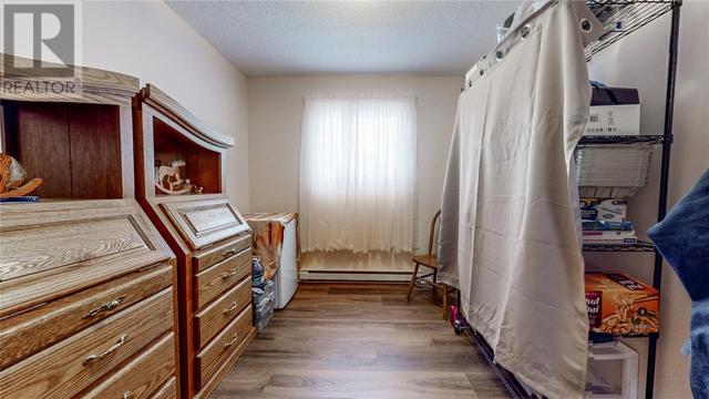 113 Michener Avenue, House detached with 3 bedrooms, 1 bathrooms and null parking in Mount Pearl NL | Image 21