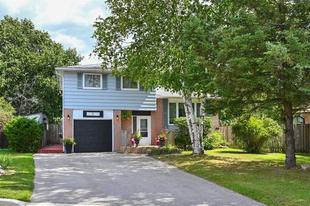 5 Perdue Pl N, House detached with 3 bedrooms, 2 bathrooms and 4 parking in New Tecumseth ON | Image 12