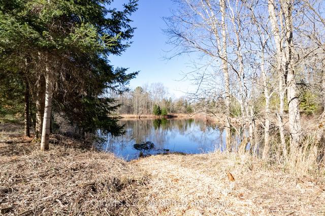 3994 County Road 620, House detached with 3 bedrooms, 2 bathrooms and 8 parking in North Kawartha ON | Image 33
