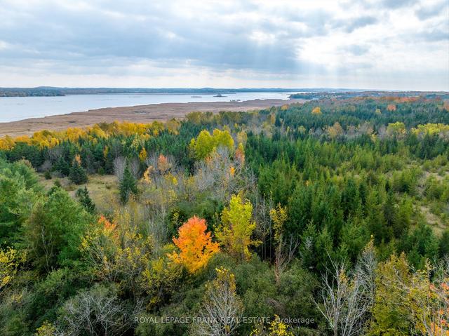 1916 Pigeon Lake Rd, House detached with 3 bedrooms, 1 bathrooms and 6 parking in Kawartha Lakes ON | Image 29