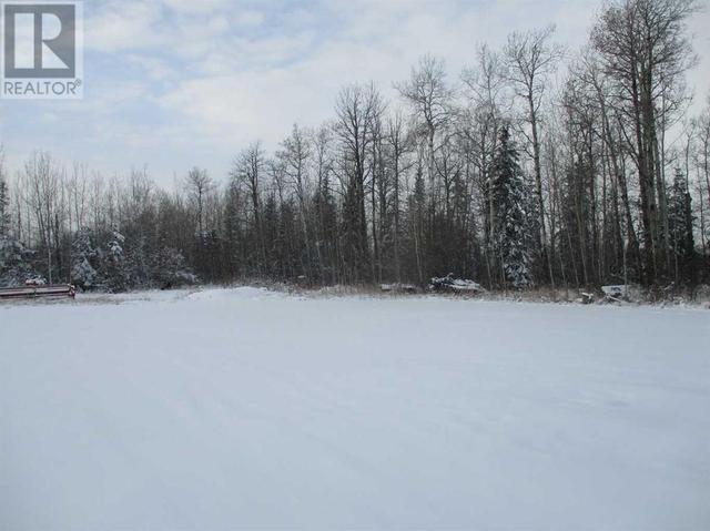 893038a Rge Rd 234, Home with 3 bedrooms, 2 bathrooms and null parking in Northern Lights County AB | Image 19