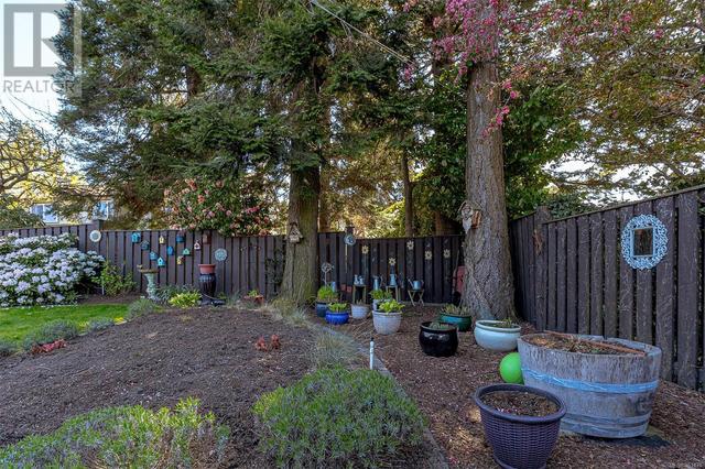 559 Kenneth St, House detached with 4 bedrooms, 3 bathrooms and 4 parking in Saanich BC | Image 52
