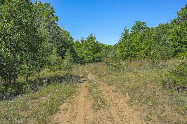 lot 9 D Line, Home with 0 bedrooms, 0 bathrooms and null parking in South Bruce Peninsula ON | Image 11