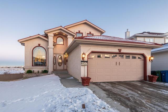 230 Coral Springs Place Ne, House detached with 5 bedrooms, 3 bathrooms and 4 parking in Calgary AB | Image 41
