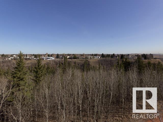 425 - 592 Hooke Rd Nw, Condo with 2 bedrooms, 2 bathrooms and 2 parking in Edmonton AB | Image 45