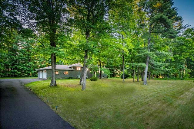 388 Mountain Rd, House detached with 3 bedrooms, 2 bathrooms and 8 parking in Laurentian Valley ON | Image 29