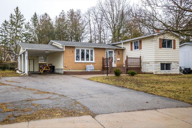 45 Orchard Park Rd, House detached with 3 bedrooms, 2 bathrooms and 5 parking in Kawartha Lakes ON | Image 12