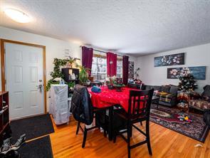 433 &amp; 433(a) 53 Avenue Sw, Home with 4 bedrooms, 2 bathrooms and 4 parking in Calgary AB | Image 9