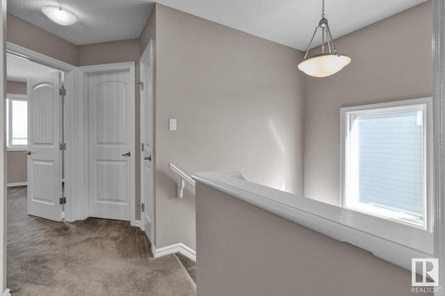 5114 1b Av Sw, House detached with 4 bedrooms, 3 bathrooms and null parking in Edmonton AB | Image 22