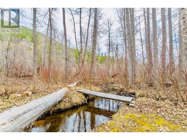 1139 Fish Lake Road, House detached with 2 bedrooms, 3 bathrooms and null parking in Okanagan Similkameen F BC | Image 46