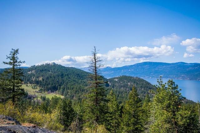0000 Eastside Road, Home with 0 bedrooms, 0 bathrooms and null parking in Vernon BC | Image 25