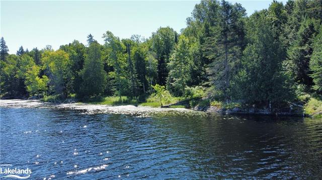 0000 Jack's Lake, Home with 0 bedrooms, 0 bathrooms and null parking in Parry Sound, Unorganized, Centre Part ON | Image 11