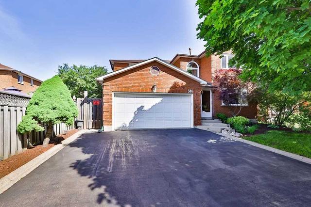 316 Evergreen Cres, House detached with 4 bedrooms, 4 bathrooms and 4 parking in Oakville ON | Card Image