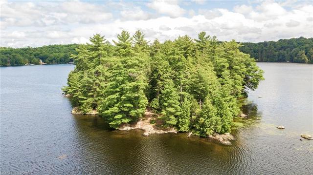 1000 Auricula Island, House detached with 3 bedrooms, 1 bathrooms and null parking in Bracebridge ON | Image 3