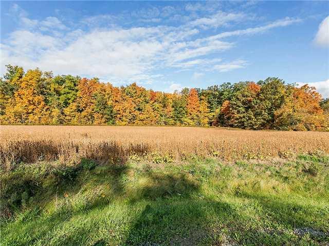 lot 5 - 2605 Harvestmoon Lane, Home with 0 bedrooms, 0 bathrooms and null parking in Burlington ON | Image 1