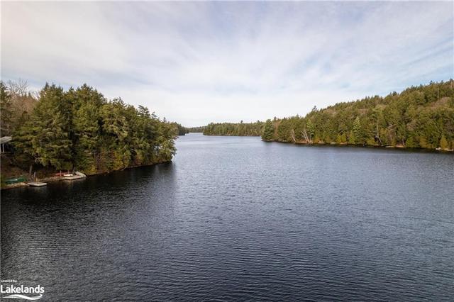 3117 Limberlost Road, House detached with 3 bedrooms, 1 bathrooms and 10 parking in Lake of Bays ON | Image 48