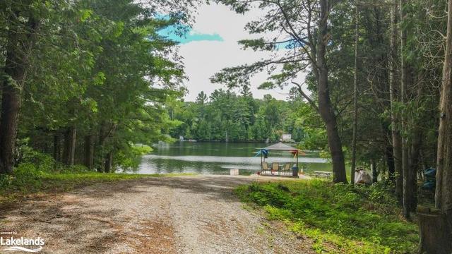 0 Bat Lake Road, Home with 0 bedrooms, 0 bathrooms and null parking in Minden Hills ON | Image 8