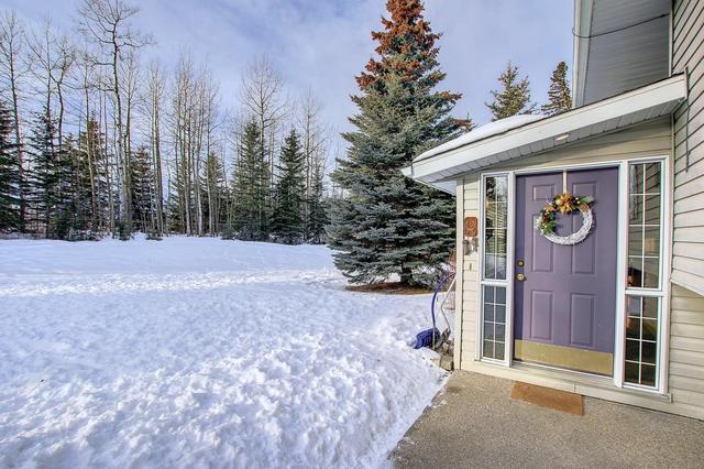 12 Ricinus Ridge Drive, House detached with 4 bedrooms, 2 bathrooms and 5 parking in Clearwater County AB | Image 47