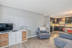 303 - 1917 24a Street Sw, Condo with 2 bedrooms, 1 bathrooms and 1 parking in Calgary AB | Image 6