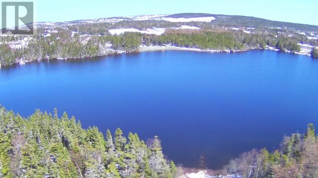 107 Round Pond Road, Home with 0 bedrooms, 0 bathrooms and null parking in Paradise NL | Image 5