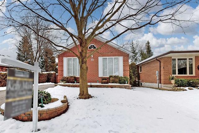 75 Ewen Dr, House detached with 3 bedrooms, 1 bathrooms and 4 parking in Uxbridge ON | Image 23