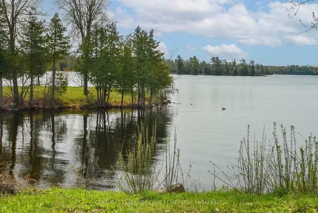 25 Alpine Lake Rd N, House detached with 2 bedrooms, 2 bathrooms and 8 parking in Trent Lakes ON | Image 19