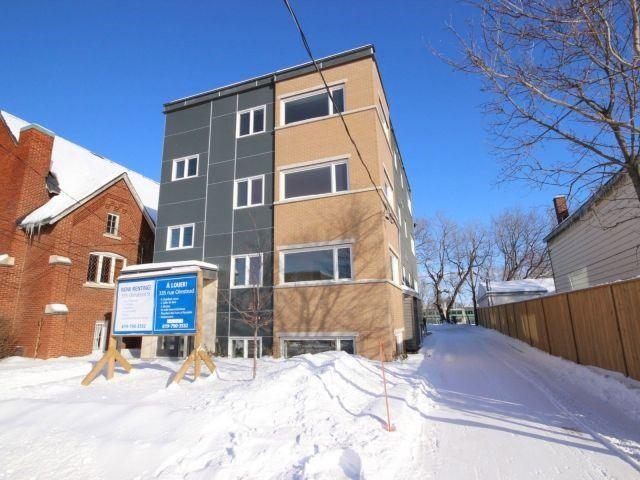 335 Olmstead St, House detached with 9 bedrooms, 2 bathrooms and 4 parking in Ottawa ON | Image 1